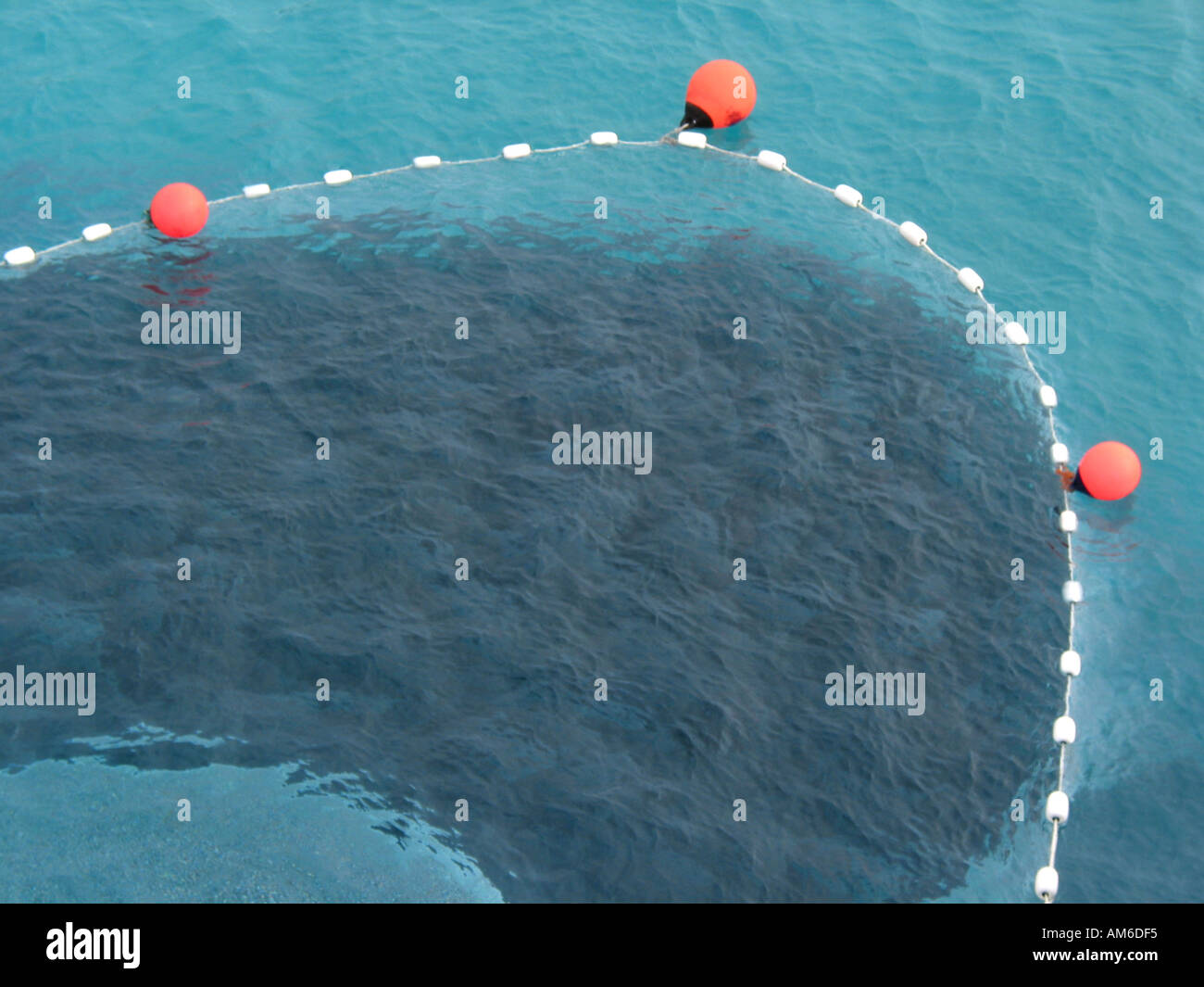 Salmon Fishing with nets South Australia Stock Photo