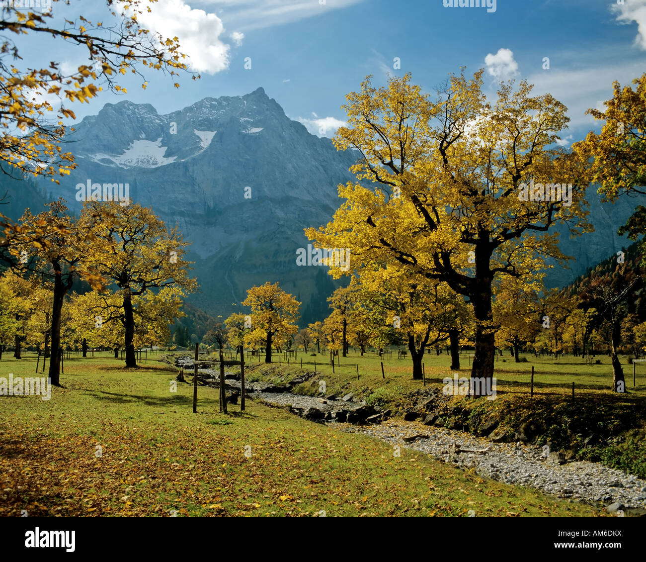 Grosser Ahornboden, Spritzkarspitze, Eiskarln, Karwendel, Tyrol, Austria Stock Photo