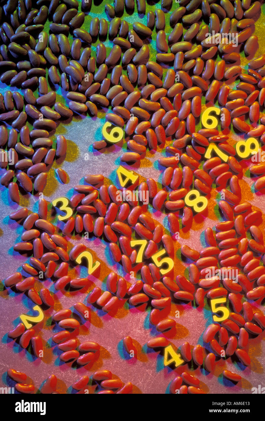 Counting beans hires stock photography and images Alamy