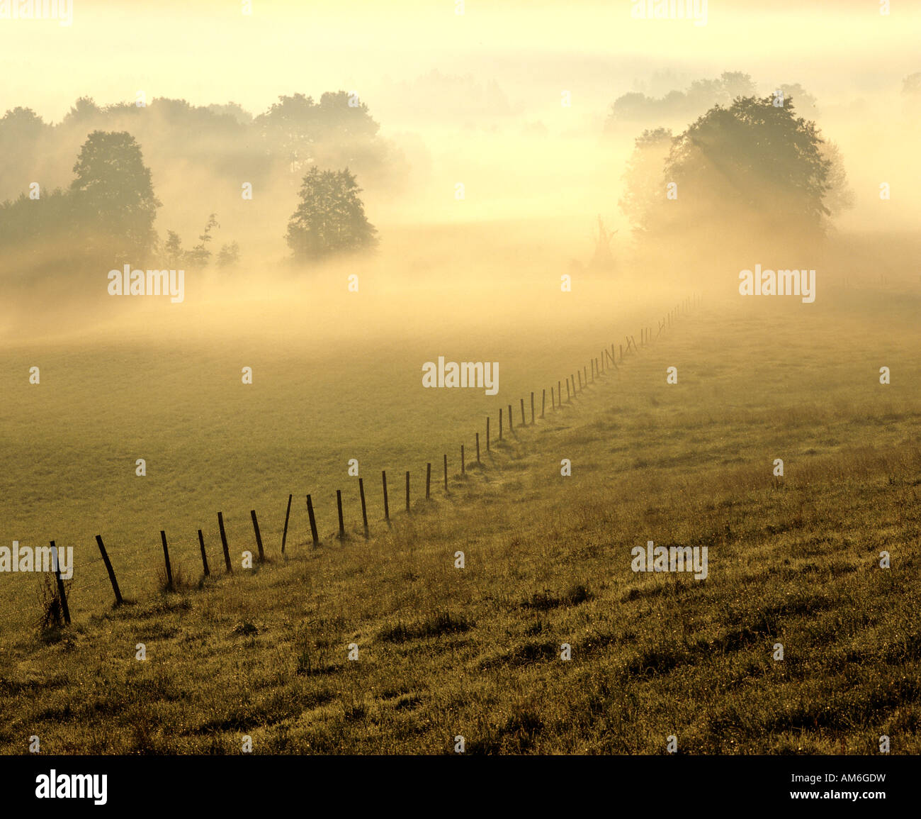 Landscape in morning fog, pasture fence, Upper Bavaria, Germany Stock Photo