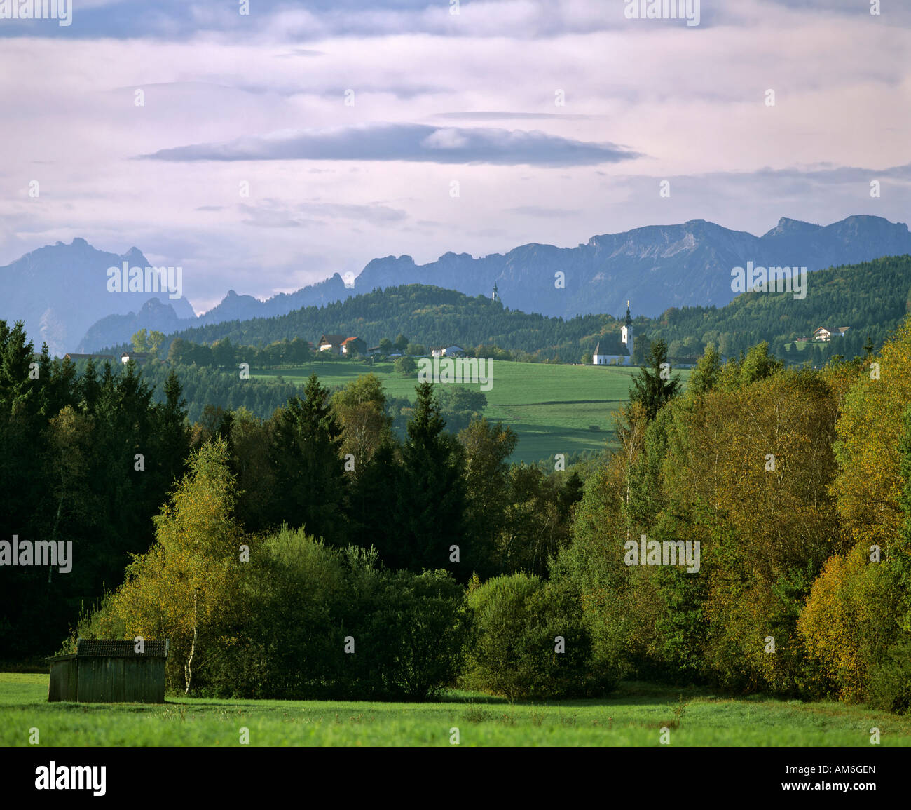 View from Ainringer Moos, church of Ulrichshoegl, Berchtesgaden mountains, Upper Bavaria, Germany Stock Photo