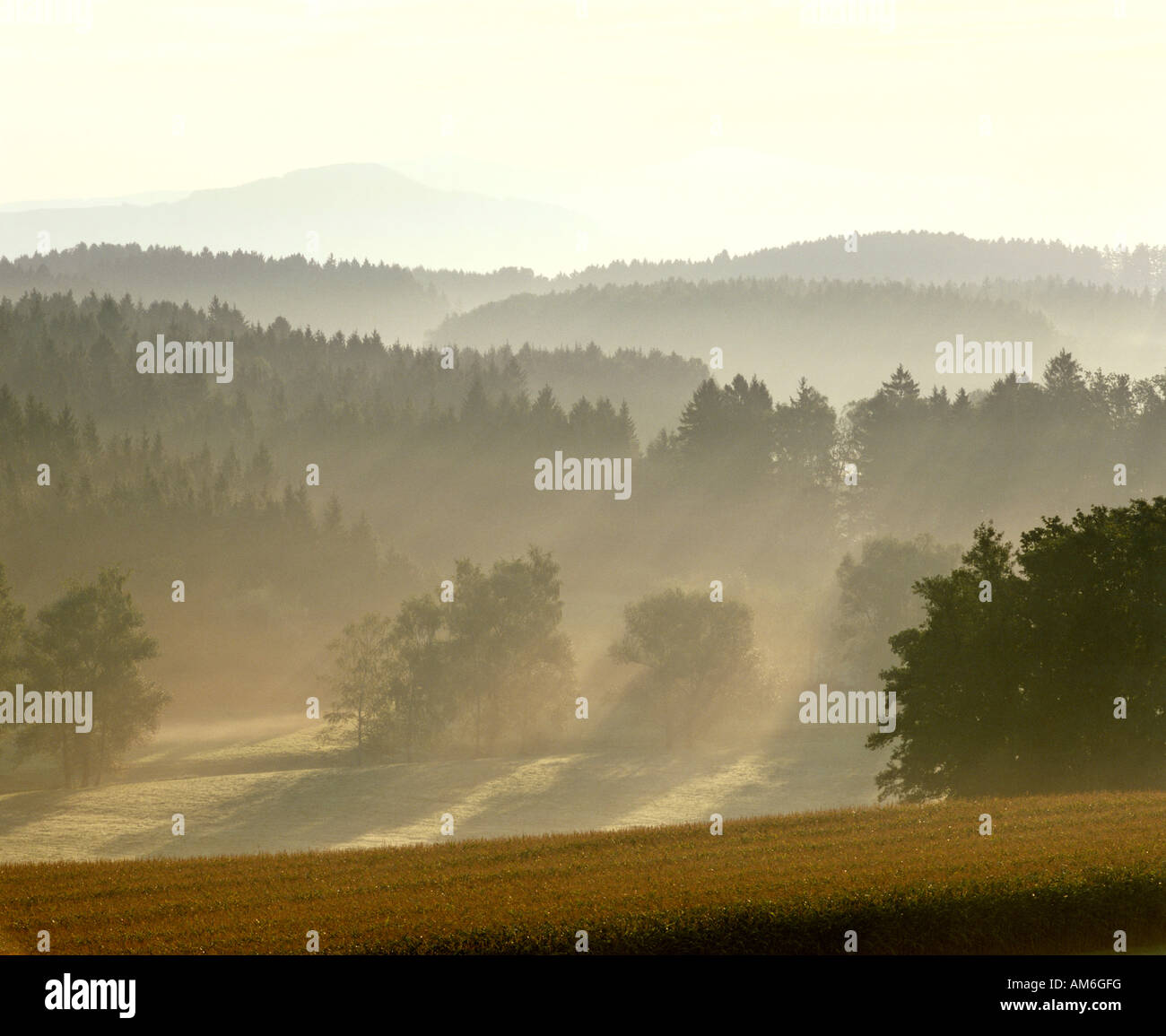 Break of dawn near Vachenlueg and Teisendorf, Berchtesgadener Land, Upper Bavaria, Germany Stock Photo