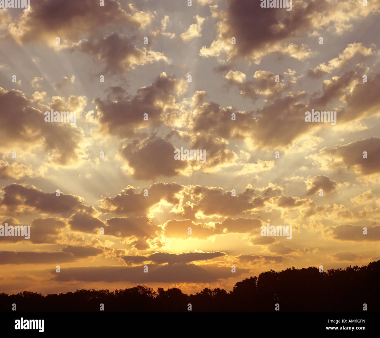 Sunrise, clouds Stock Photo