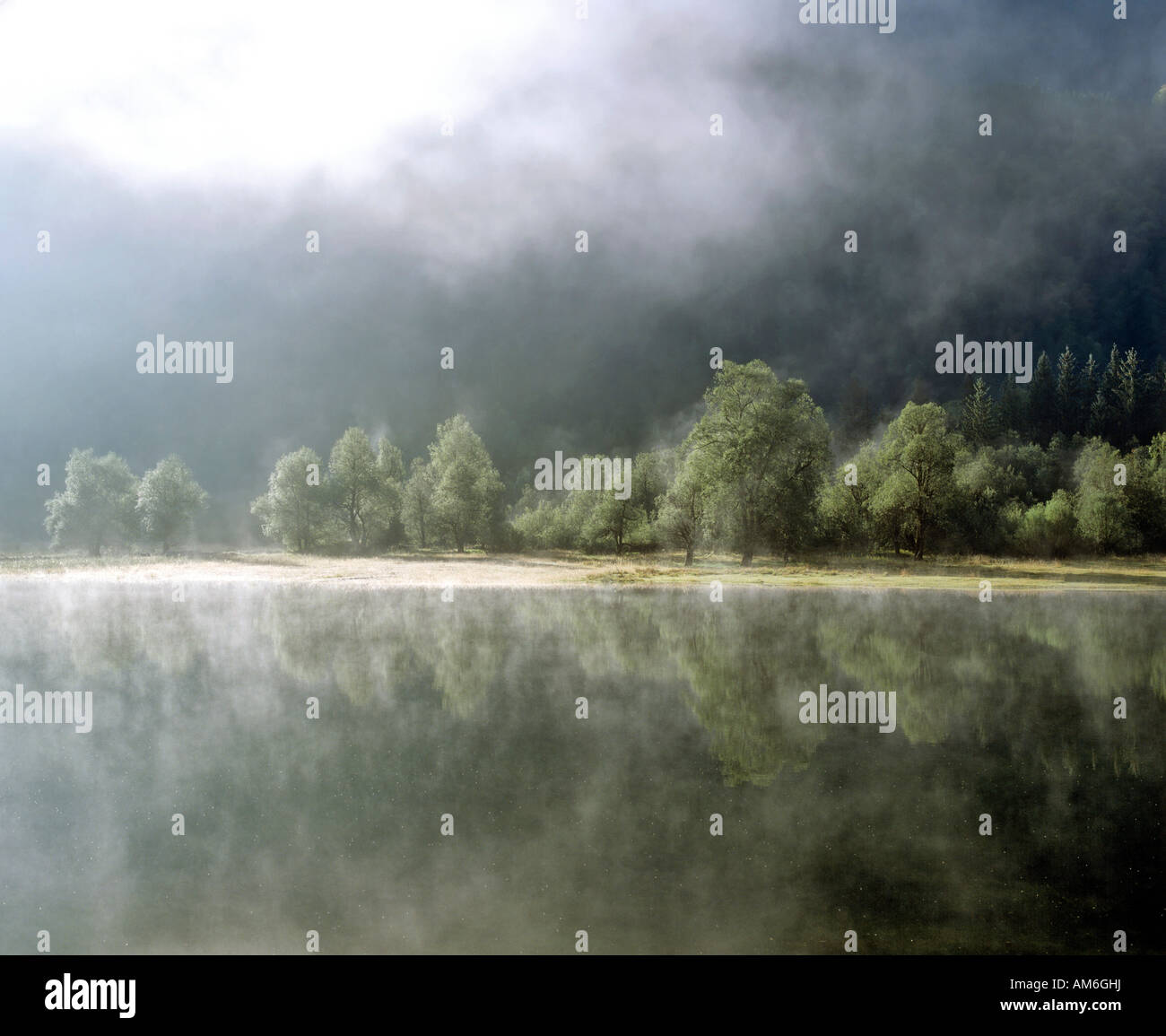 Morning fog at Lake Mittersee near Ruhpolding, Chiemgau, Upper Bavaria, Germany Stock Photo