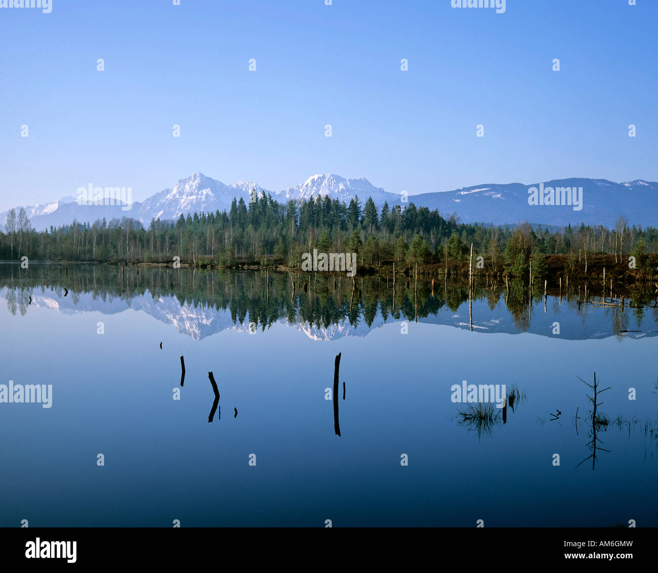 Bog lake in Schoenramer Filz, Rupertiwinkel, Hinten Staufengruppe, Upper Bavaria, Germany Stock Photo