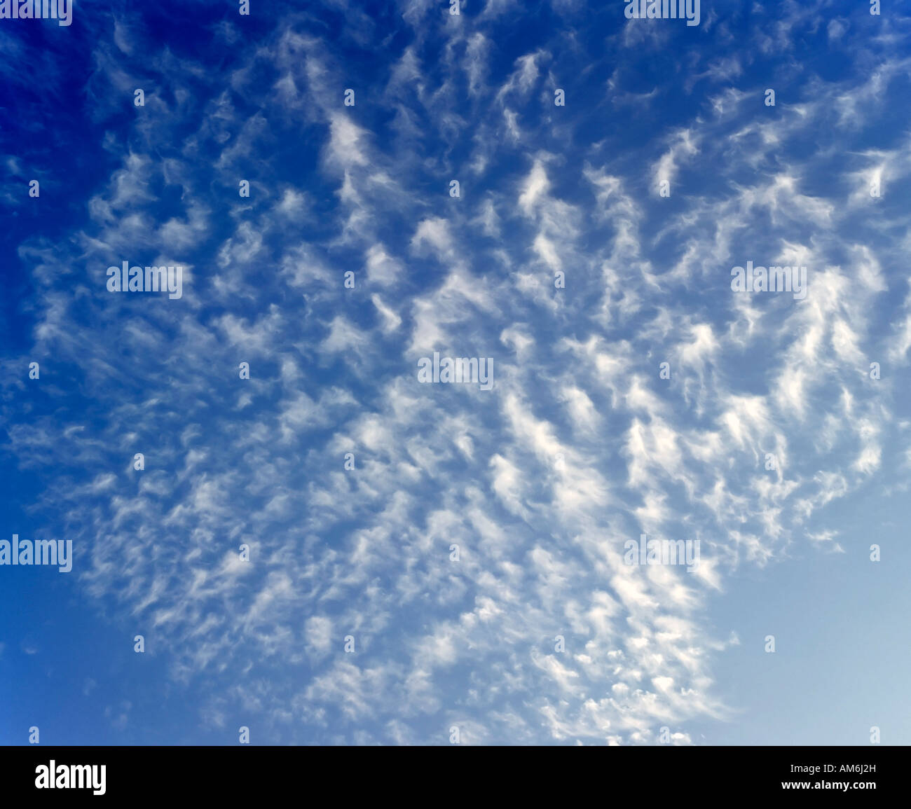 Cotton wool clouds (cirrocumulus) Stock Photo