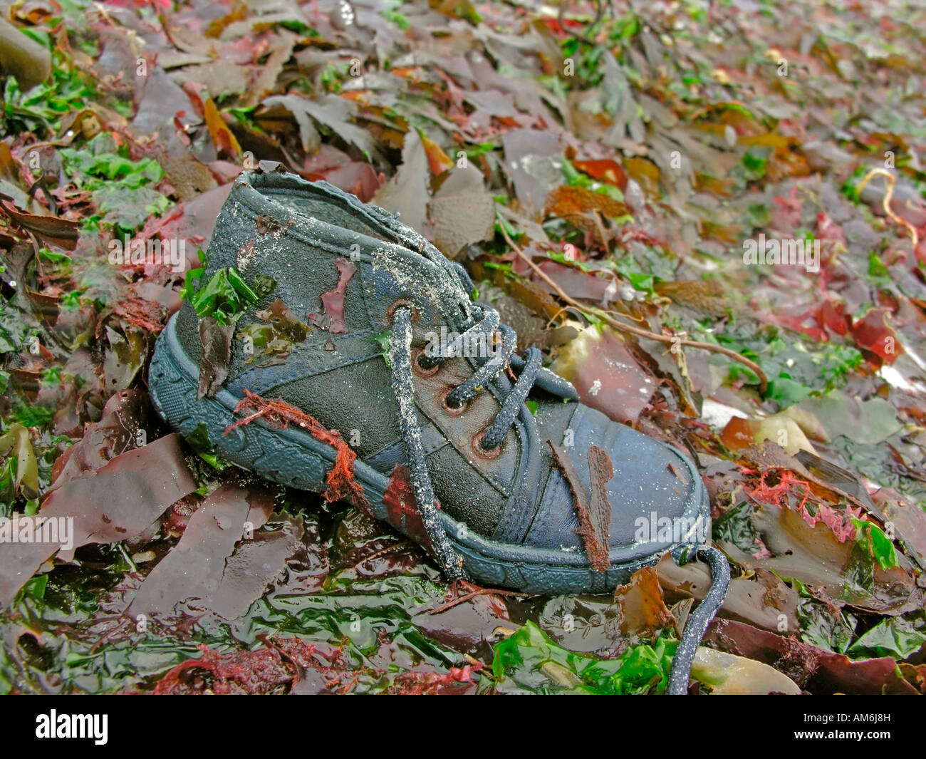 old children's shoe lost in the nature Stock Photo