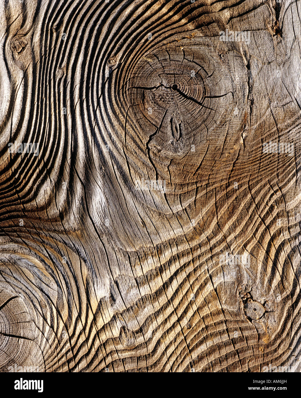 Wood grain, knothole Stock Photo