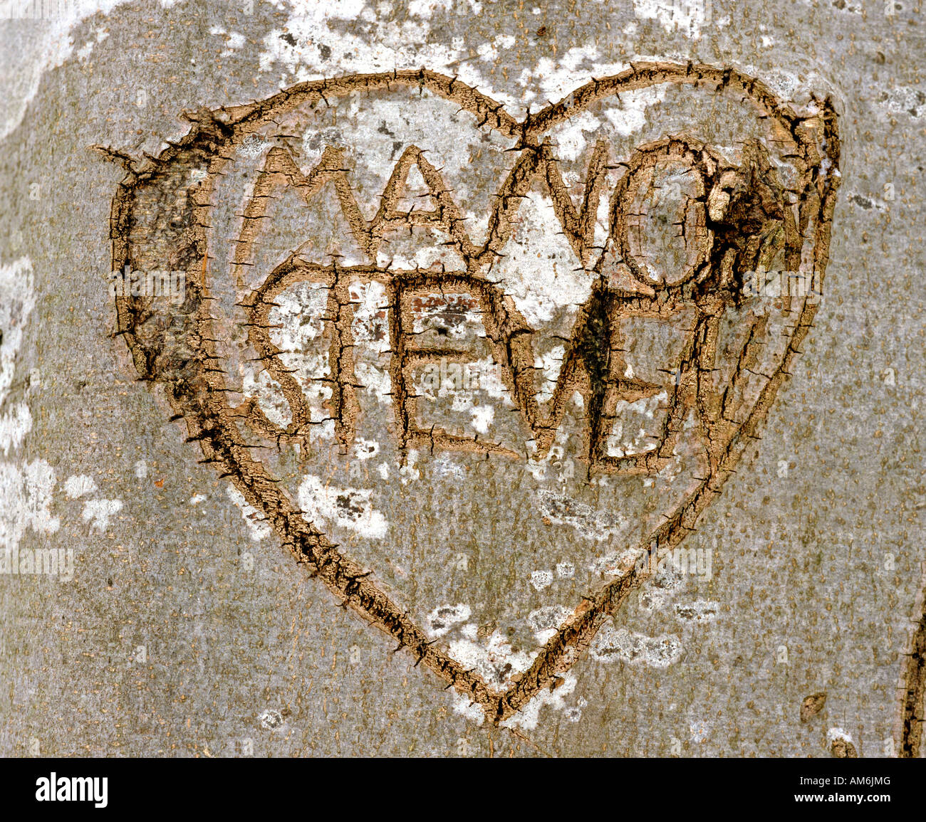 Bark, carved heart, Mano and Steven Stock Photo
