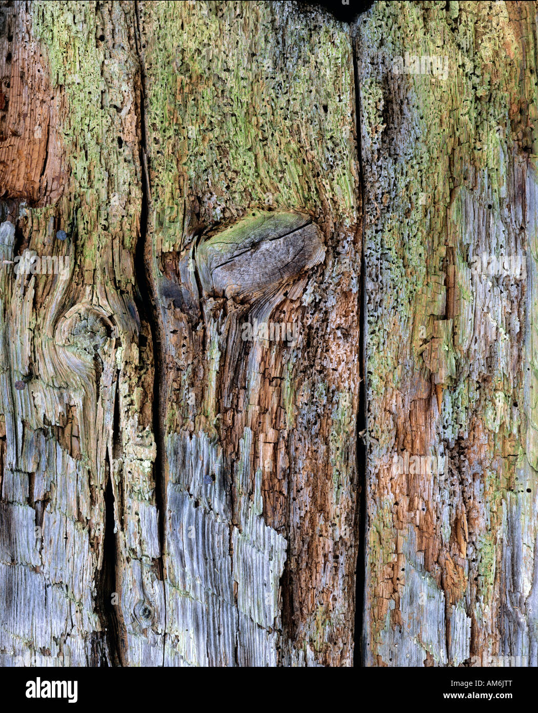 Rotting wooden boards Stock Photo