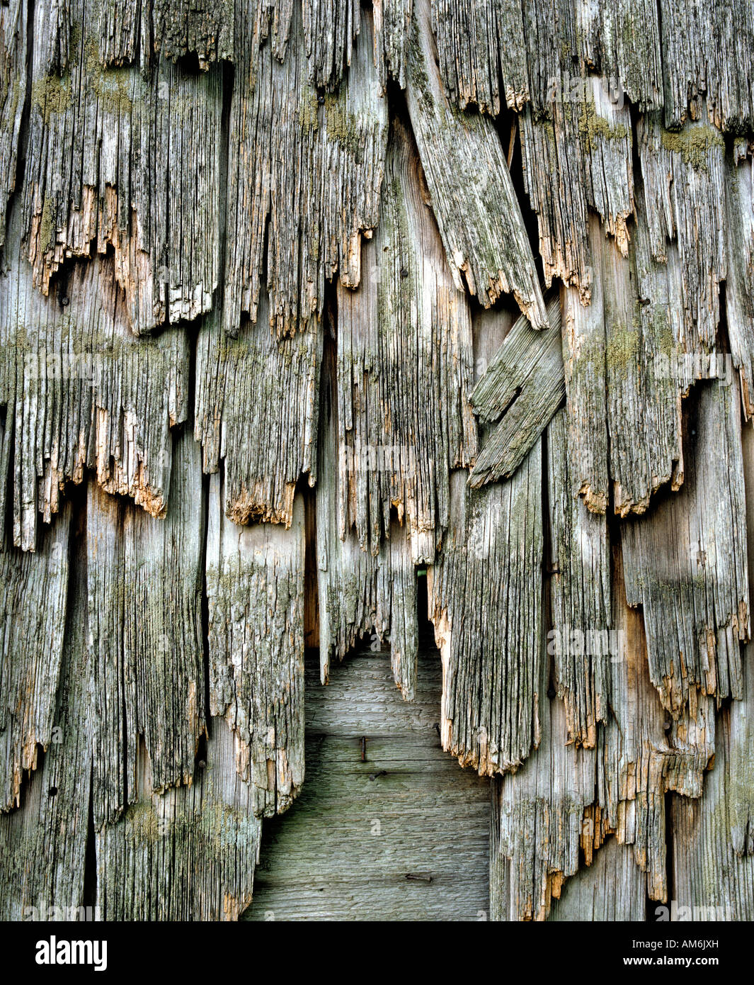 Rotting shingles of a barn Stock Photo