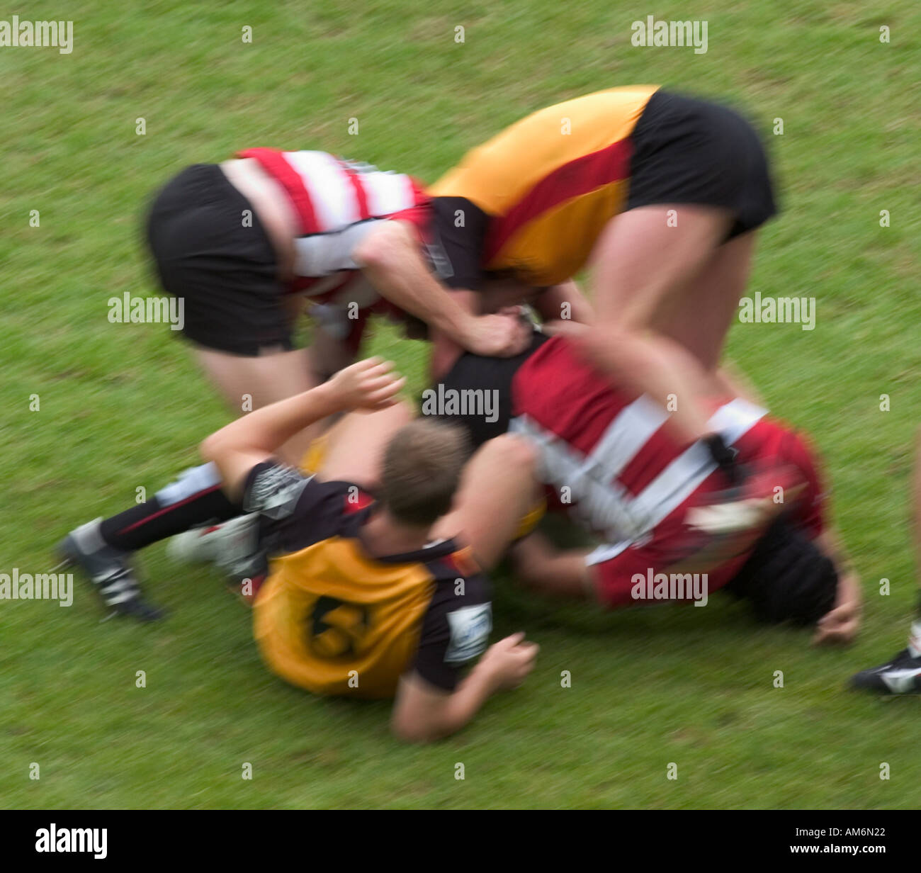 Rugby players aggressive hi-res stock photography and images - Alamy