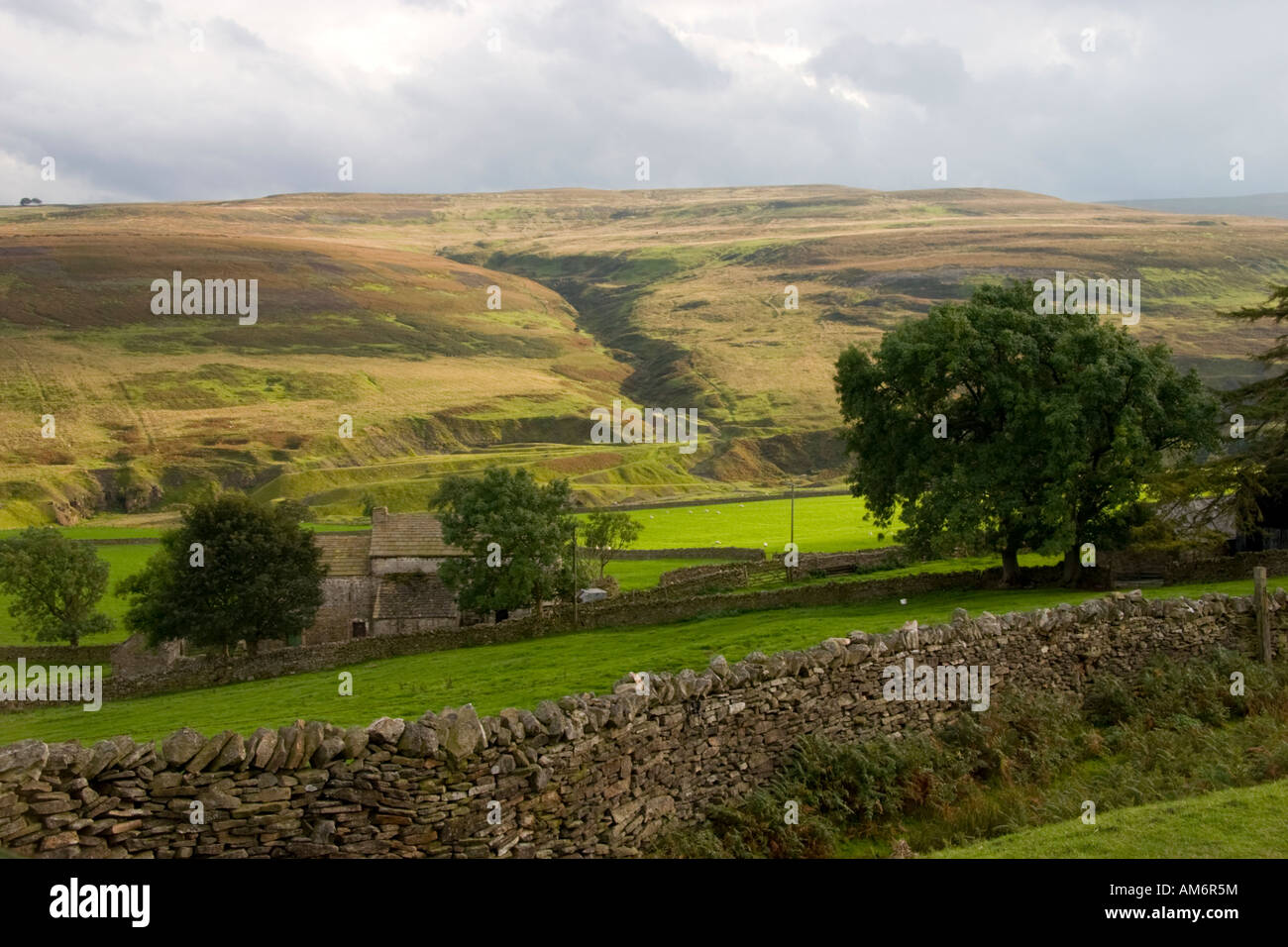 Bishopley near Frosterley in County Durham, England Stock Photo