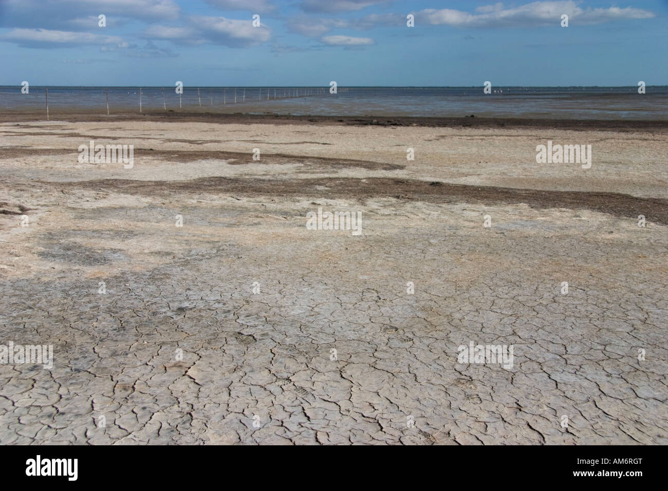 Open spaces in the Camargue, South of France Stock Photo