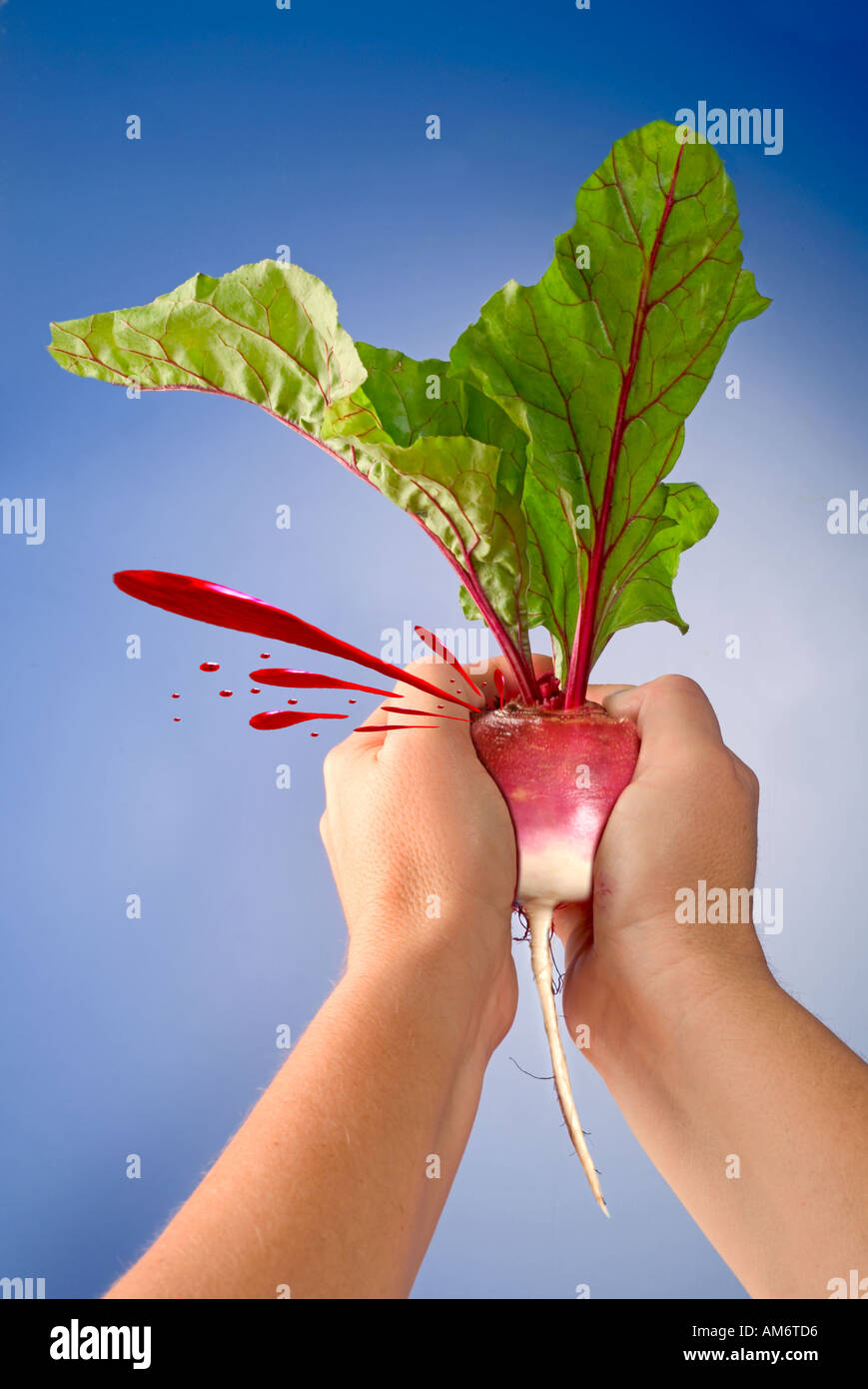 Vibrant Can't Get Blood From A Turnip Landscape in 4K Vibrant Can't Get Blood From A Turnip Landscape in 4K