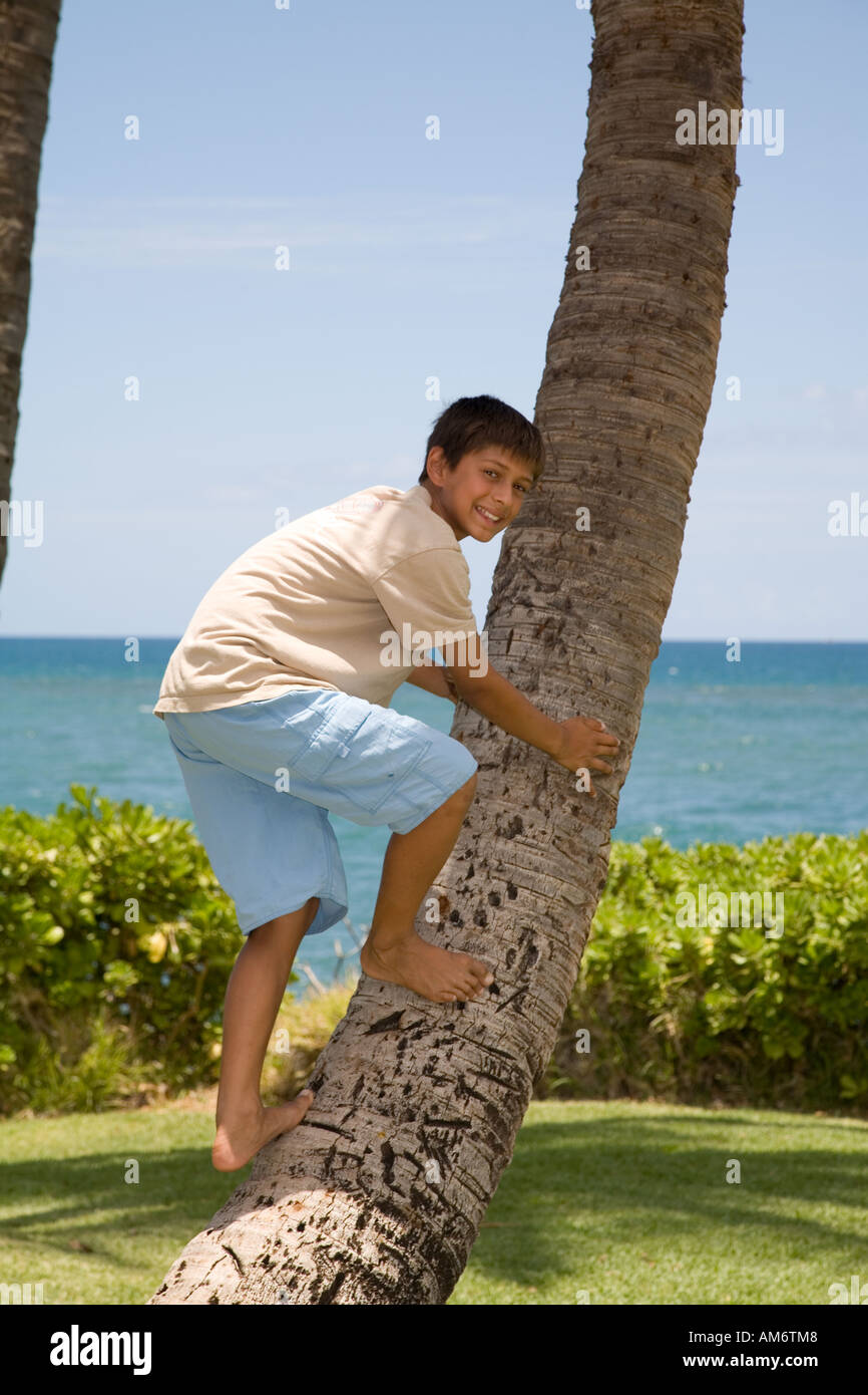 Boy climbing coconut tree Stock Photo