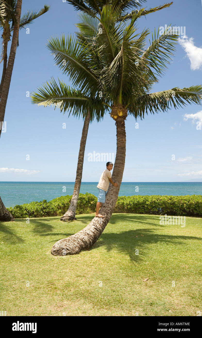 Boy climbing coconut tree Stock Photo