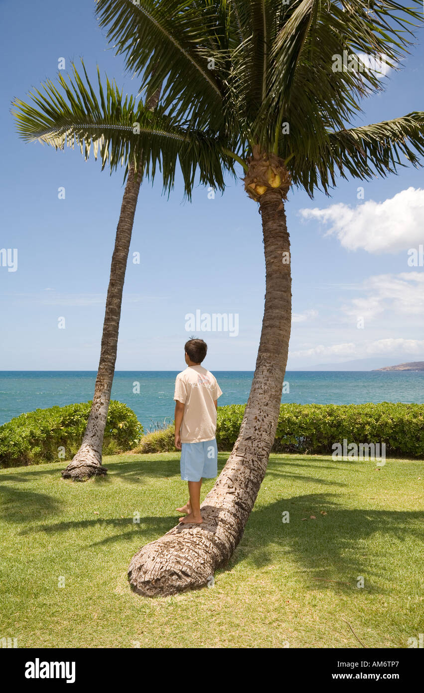 Boy standing on coconut tree trunk Stock Photo