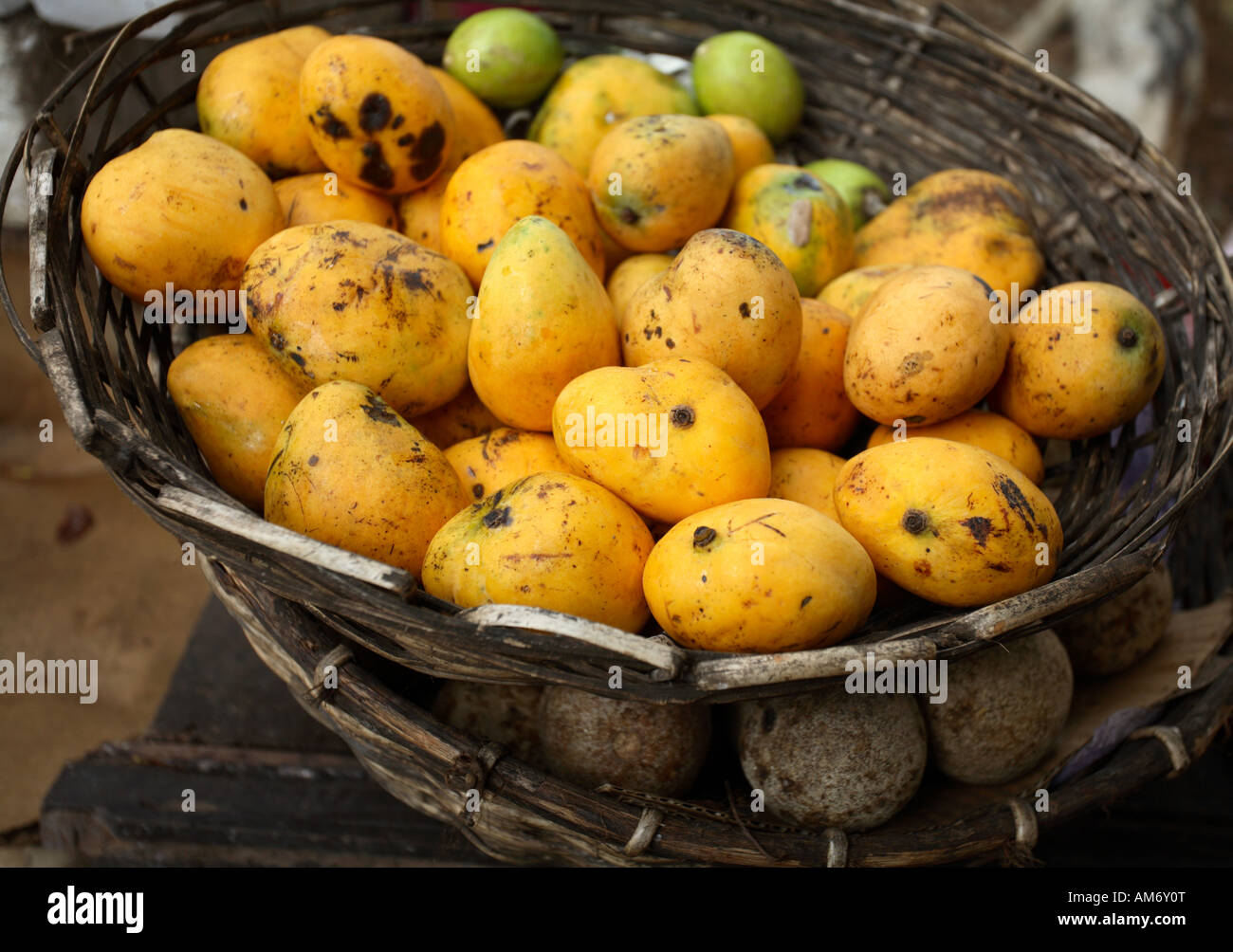 A basket of mangoes on top of a basket of wood apples indigenous Sri