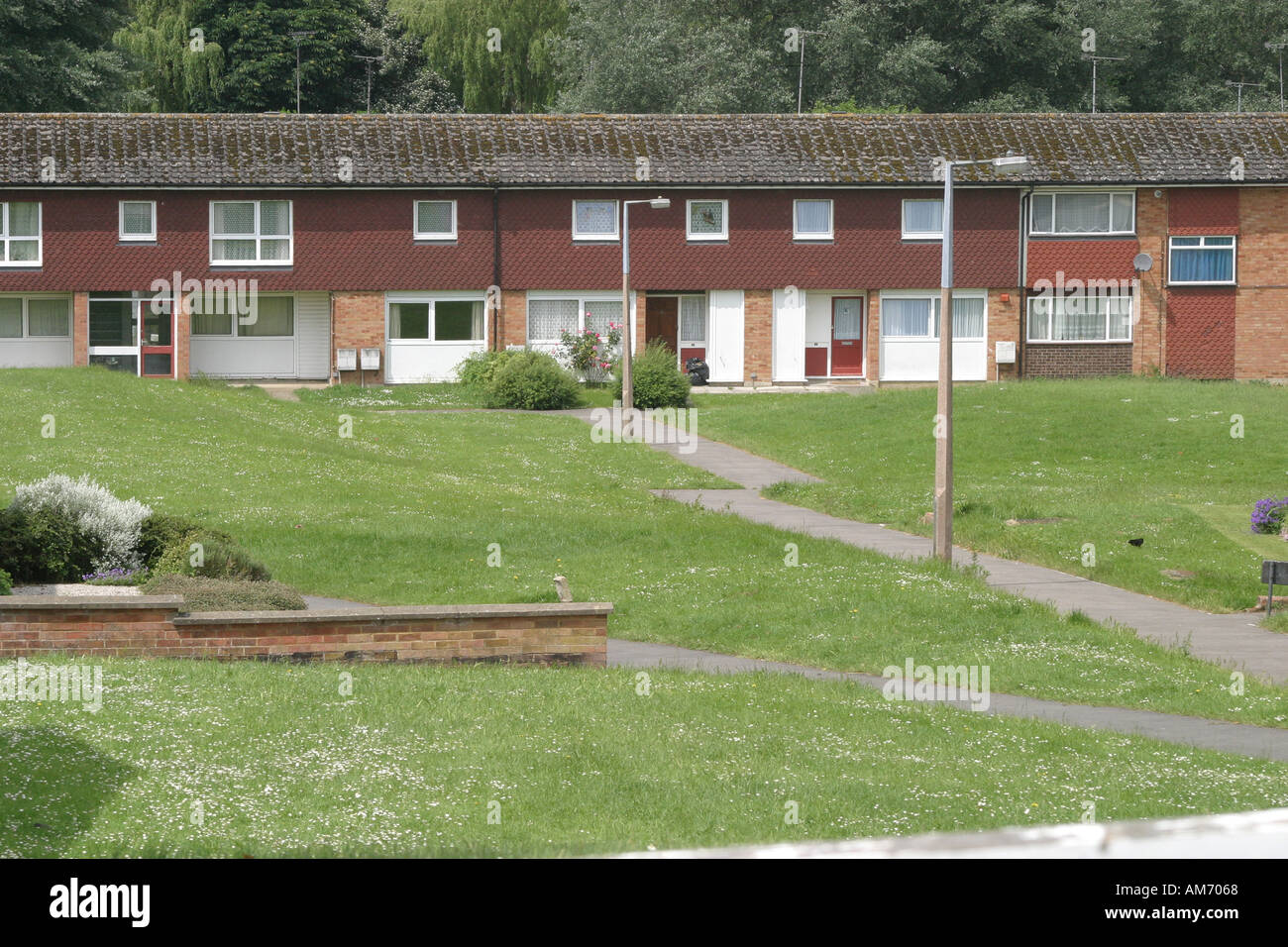 Terraced council houses in Highworth Wiltshire Stock Photo Alamy