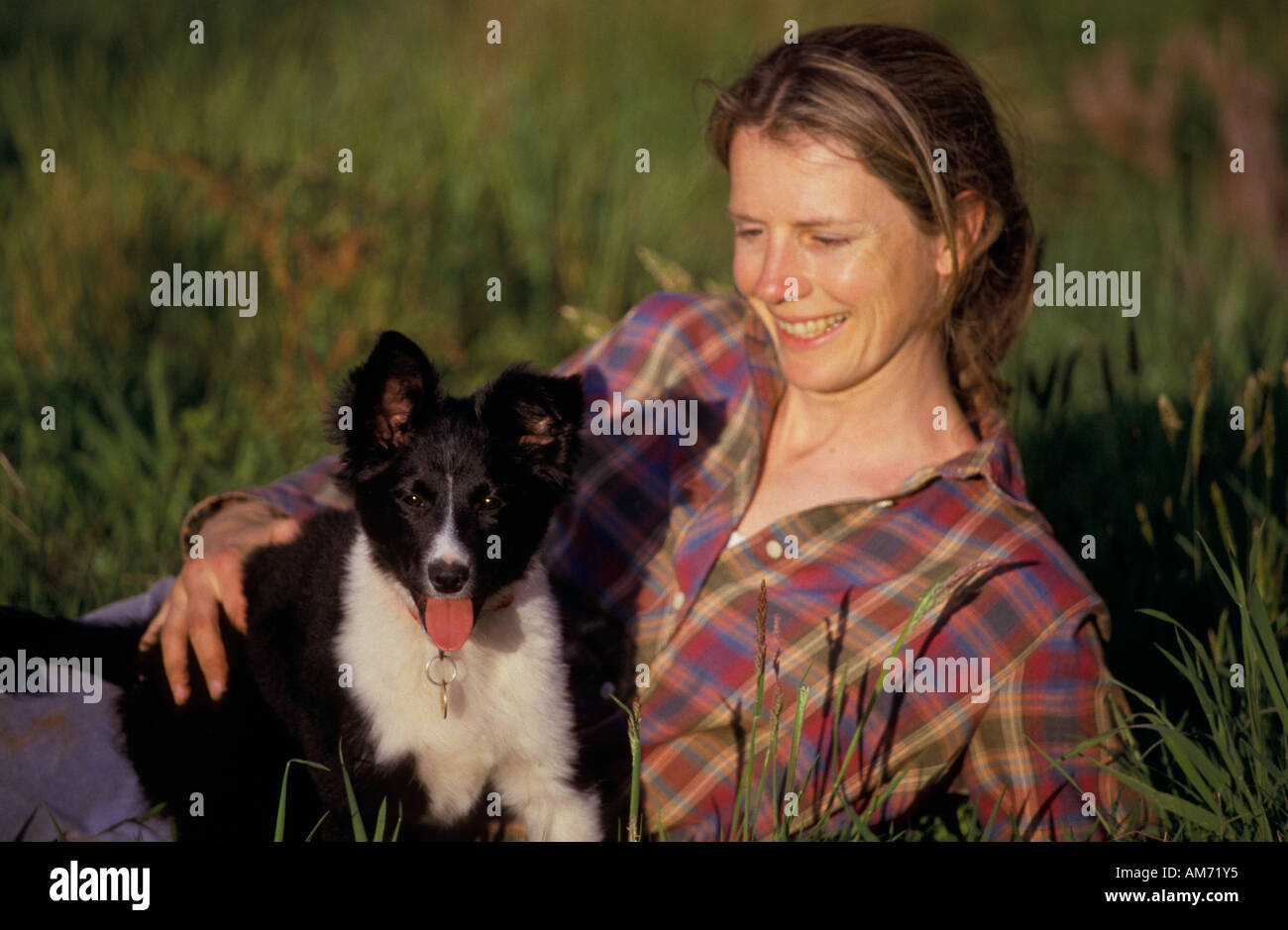 Woman and 12 week old border collie puppy, , , , Victoria, Australia ...