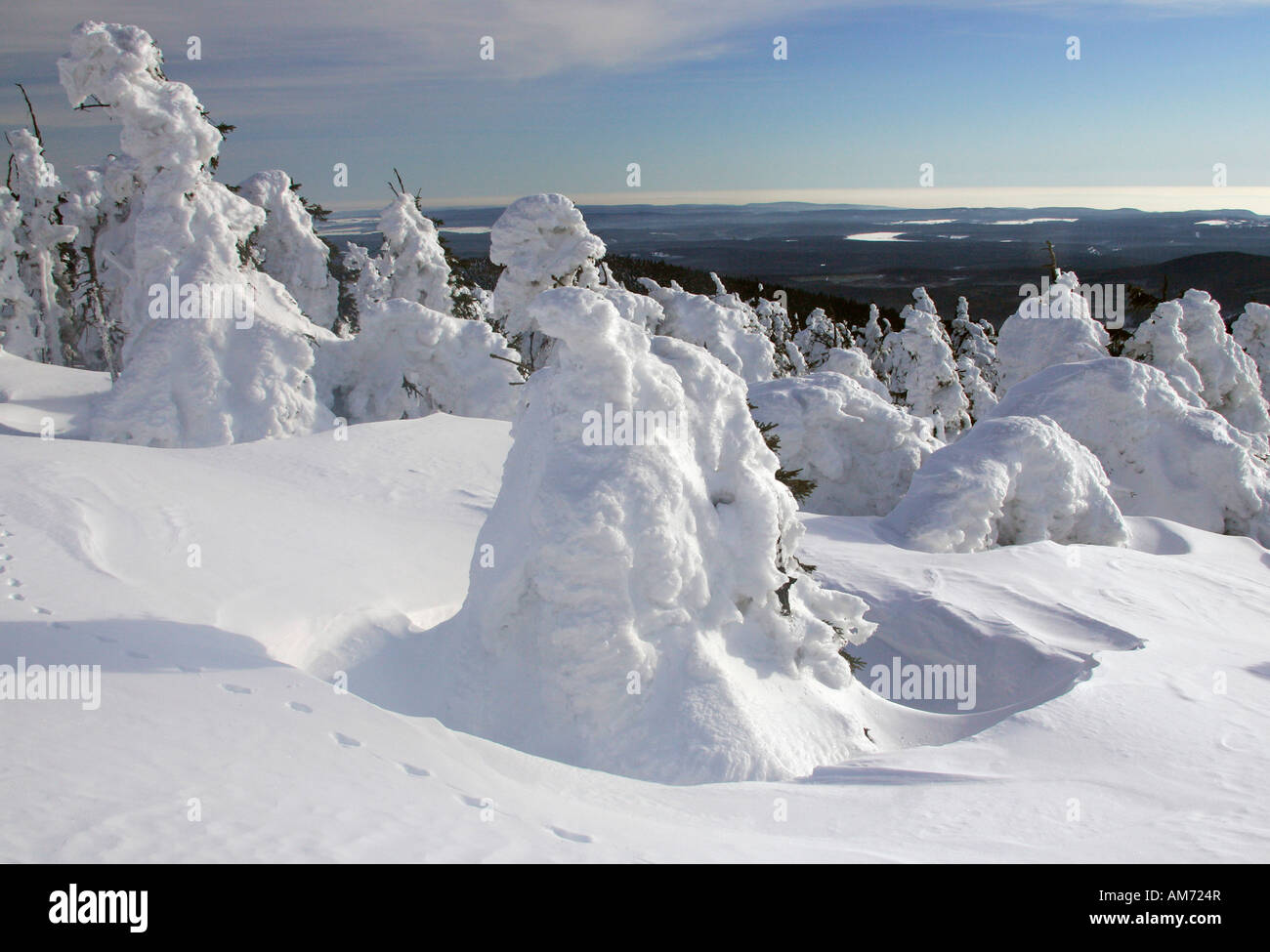 Landscape with snow-covered conifers in the German national park Hochharz in winter at the top of the Brocken mountain - Brocke Stock Photo