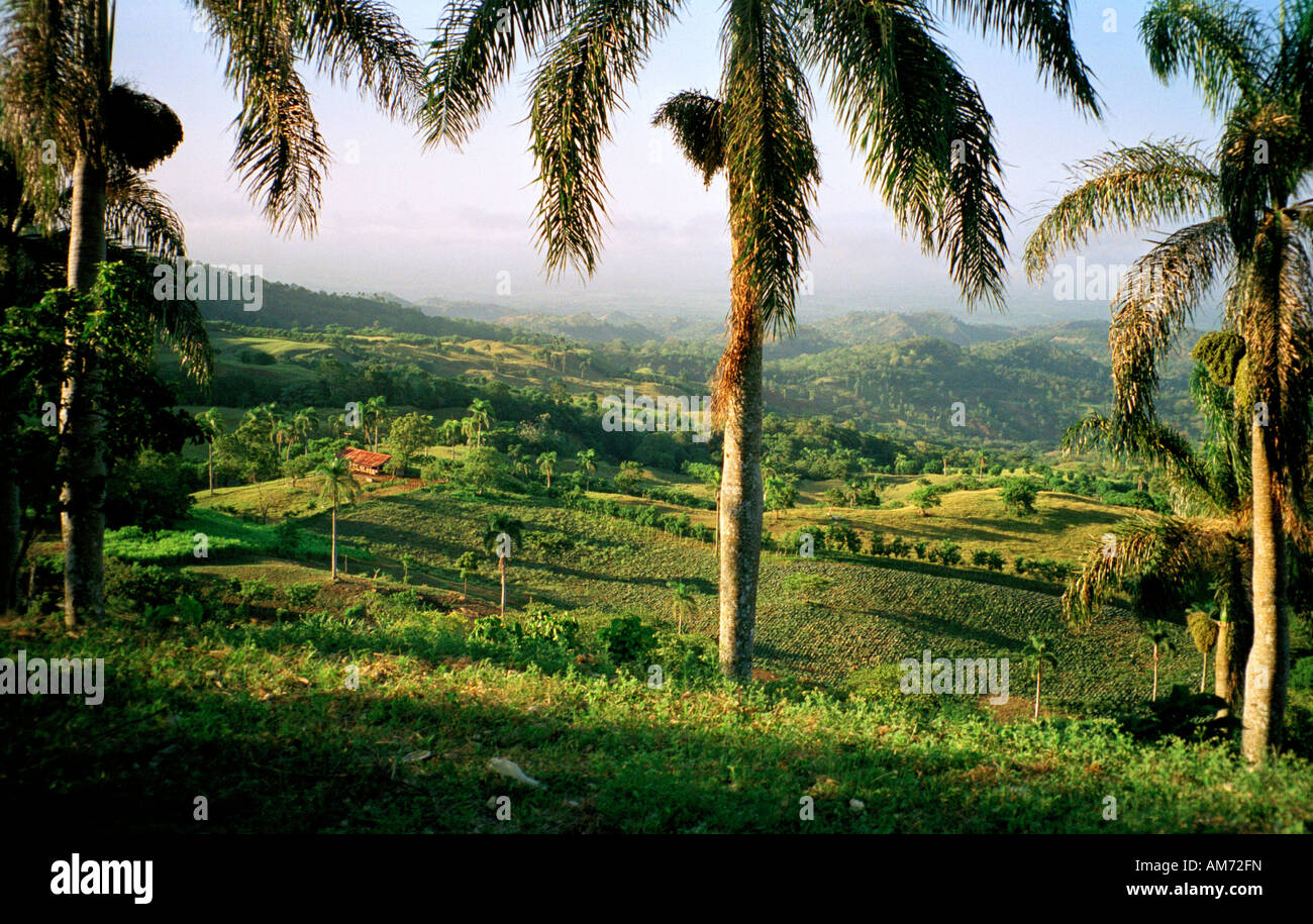 Cordillera Central Dominican Republic Agriculture & Farm Stock Photo Alamy
