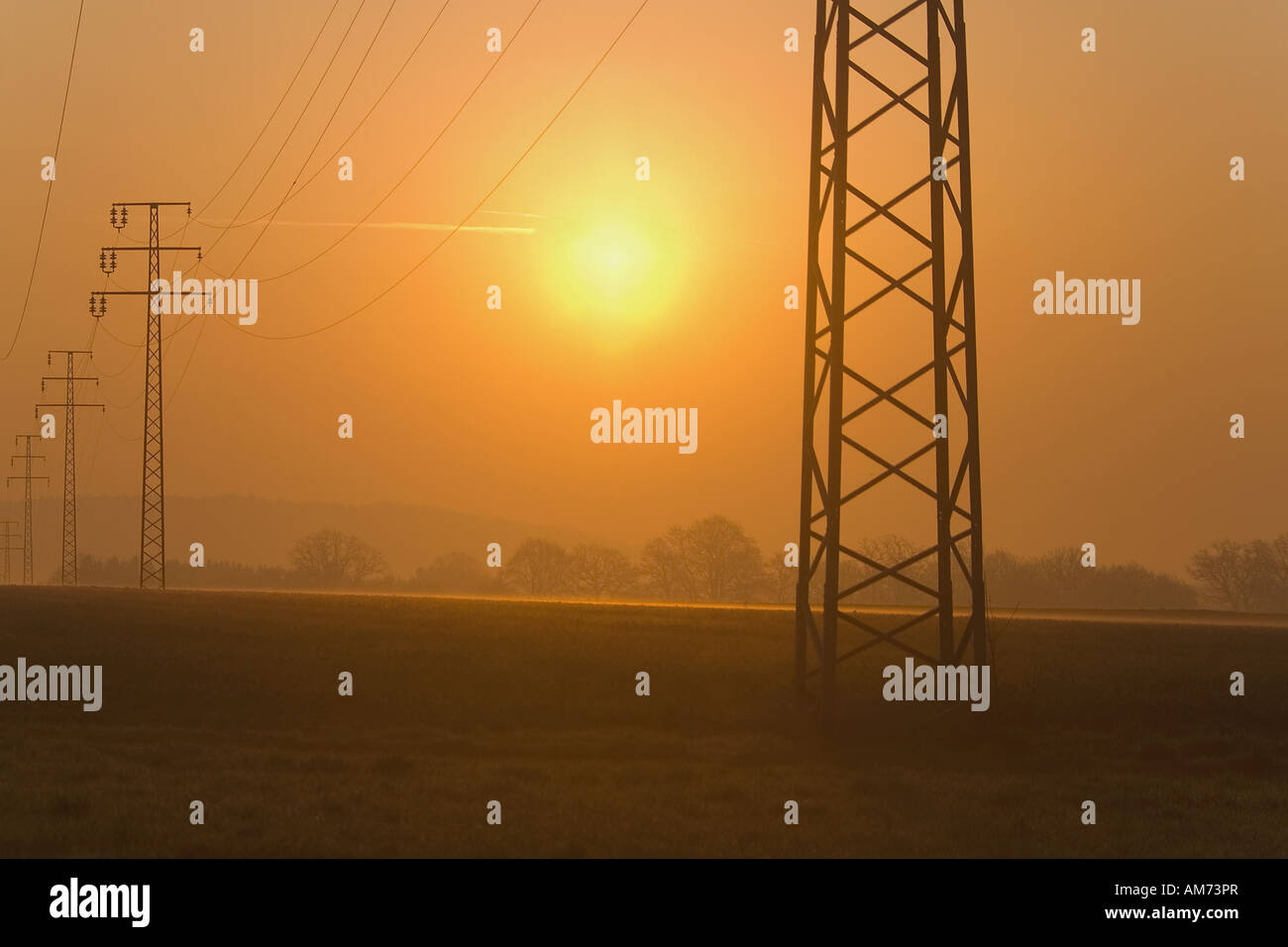 Power poles at sunrise Stock Photo
