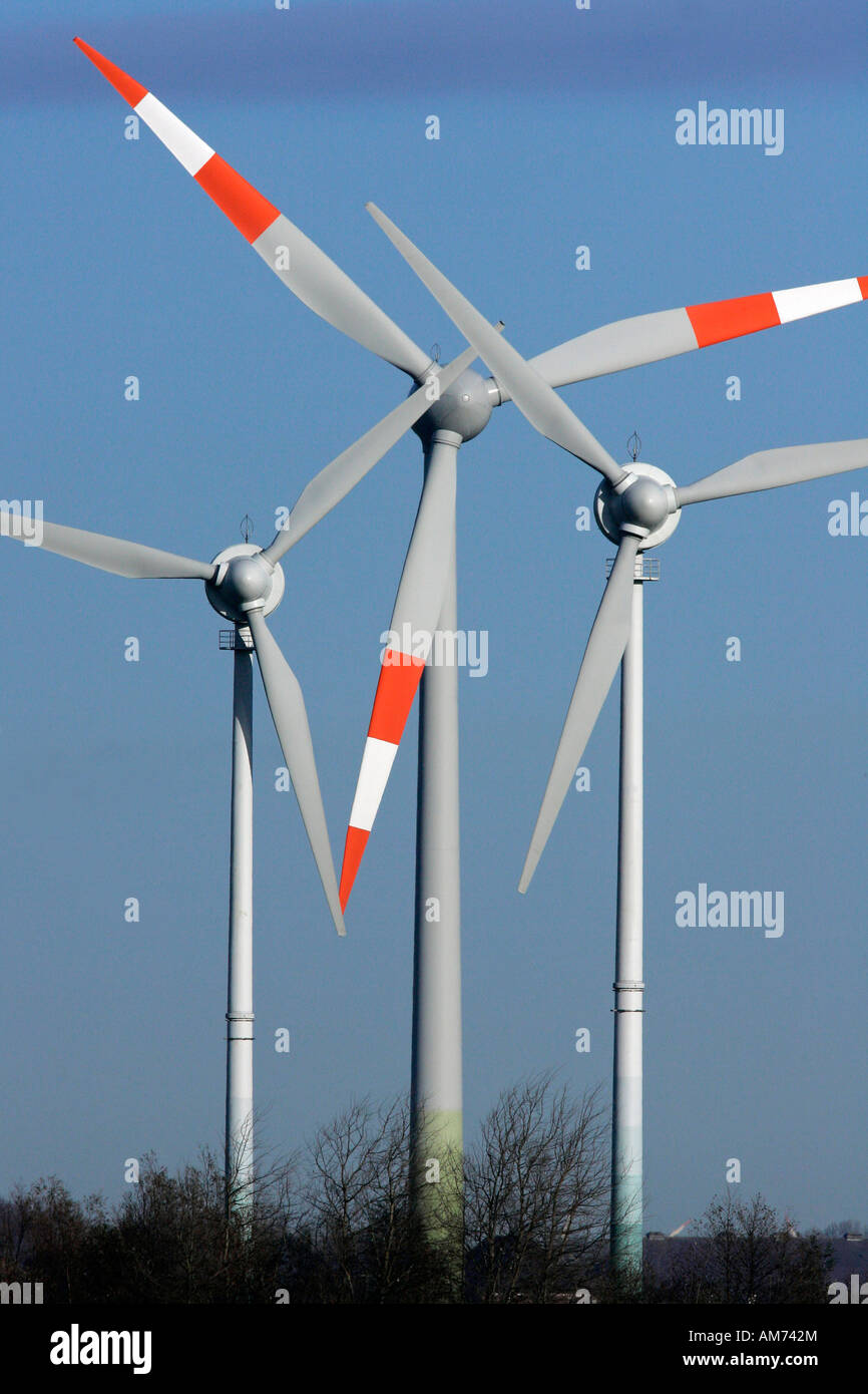 Wind wheel - wind turbines - Schleswig-Holstein, Dithmarschen, Germany, Europe Stock Photo