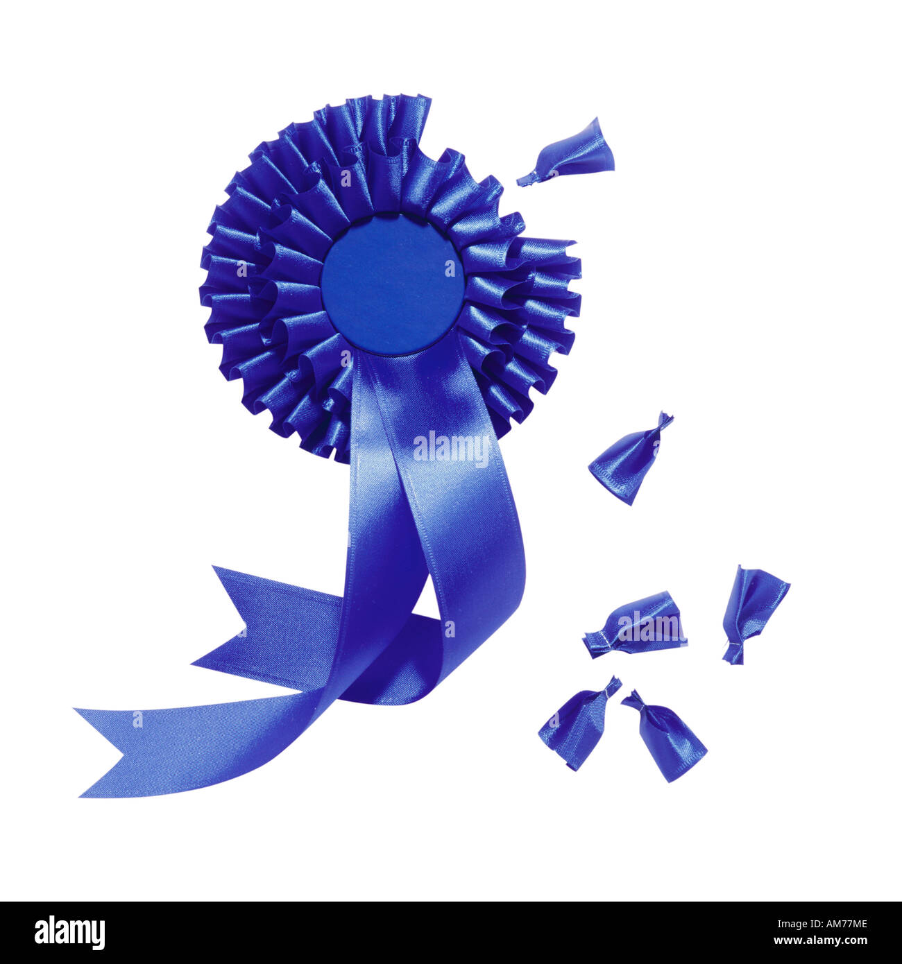 A blue rosette in tatters Stock Photo