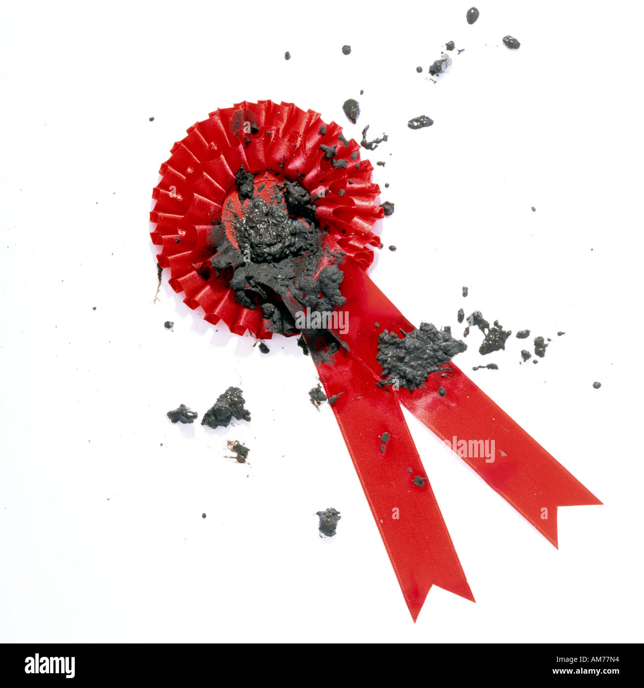 A red rosette splattered in mud Stock Photo