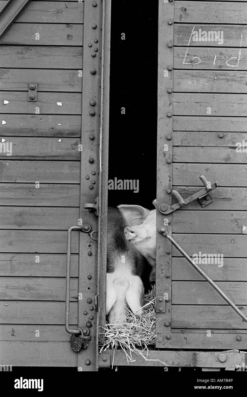 Railways train carriage Black and White Stock Photos & Images - Alamy