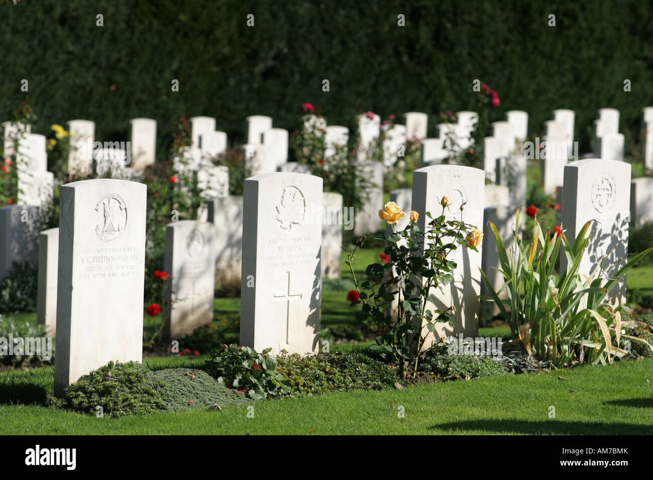Gravestones, military cemetery, Cologne, North Rhine-Westphalia, Germany Stock Photo