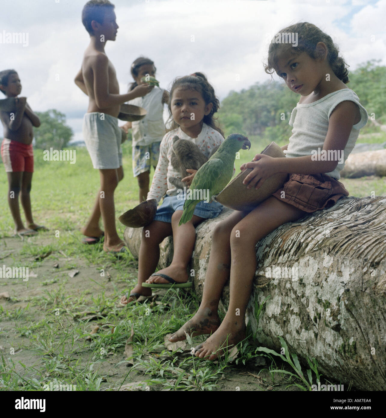 Bazil hi-res stock photography and images - Alamy