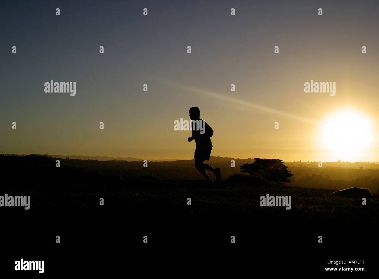 young man jogging at sunset Stock Photo