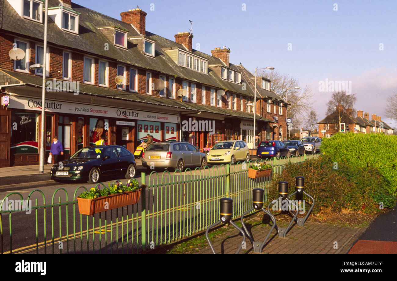 Cars parked beside shops and shopper on Central Avenue in the small