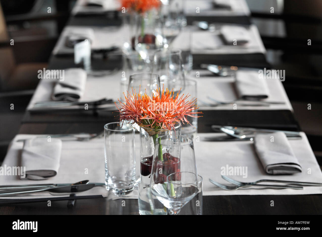 Laid table at a business restaurant, Duesseldorf, NRW, Germany Stock Photo