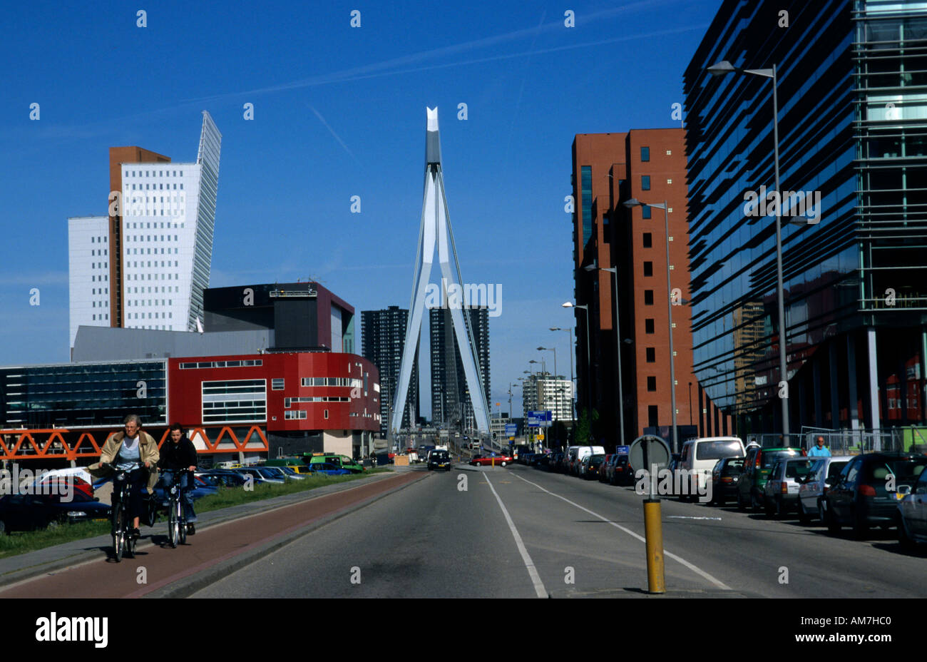 Erasmus bridge Rotterdam Kop van Zuid Netherlands Stock Photo