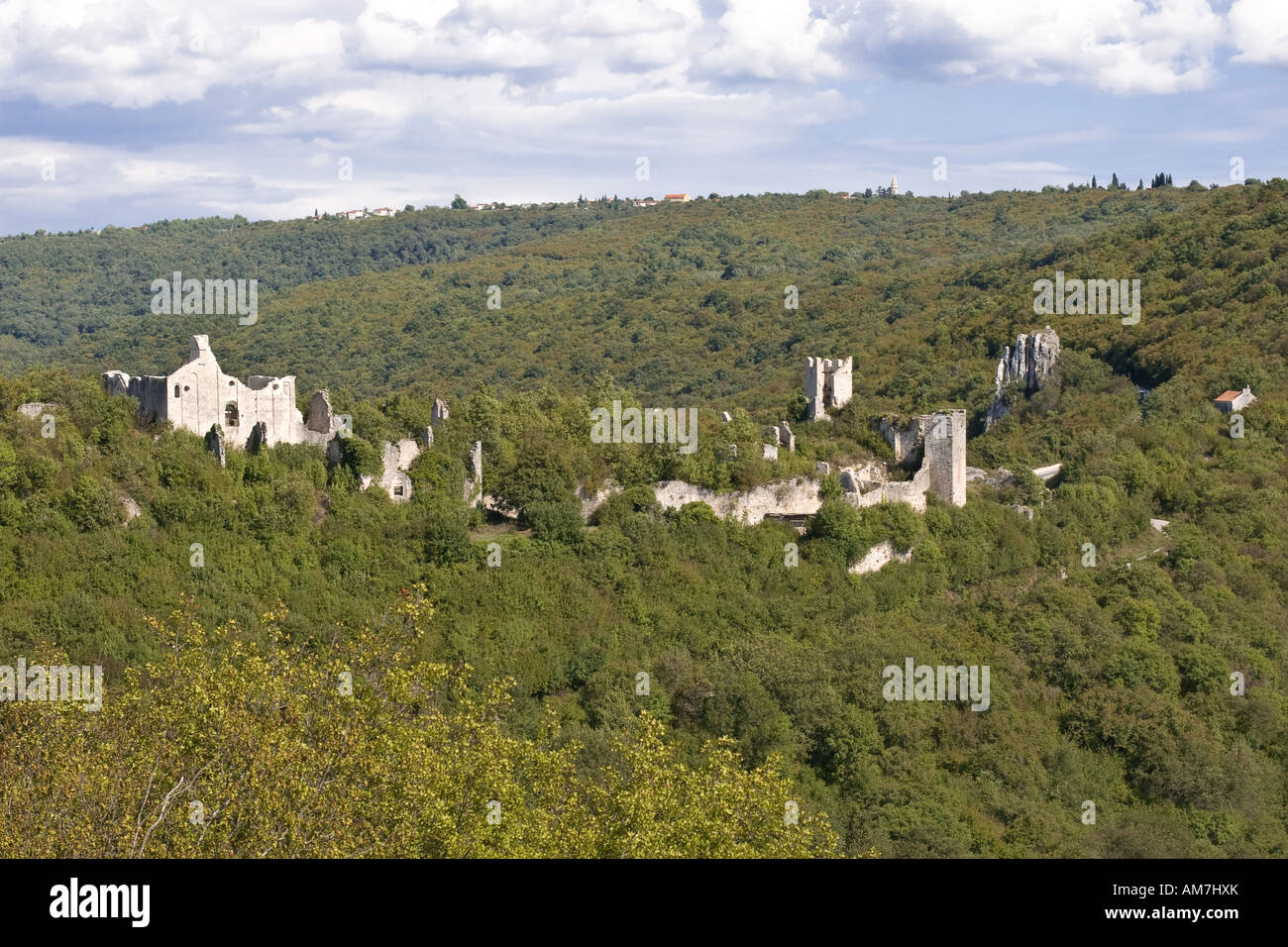 Castle ruin Dvigrad, Kanfanar, Istria, Coratia Stock Photo