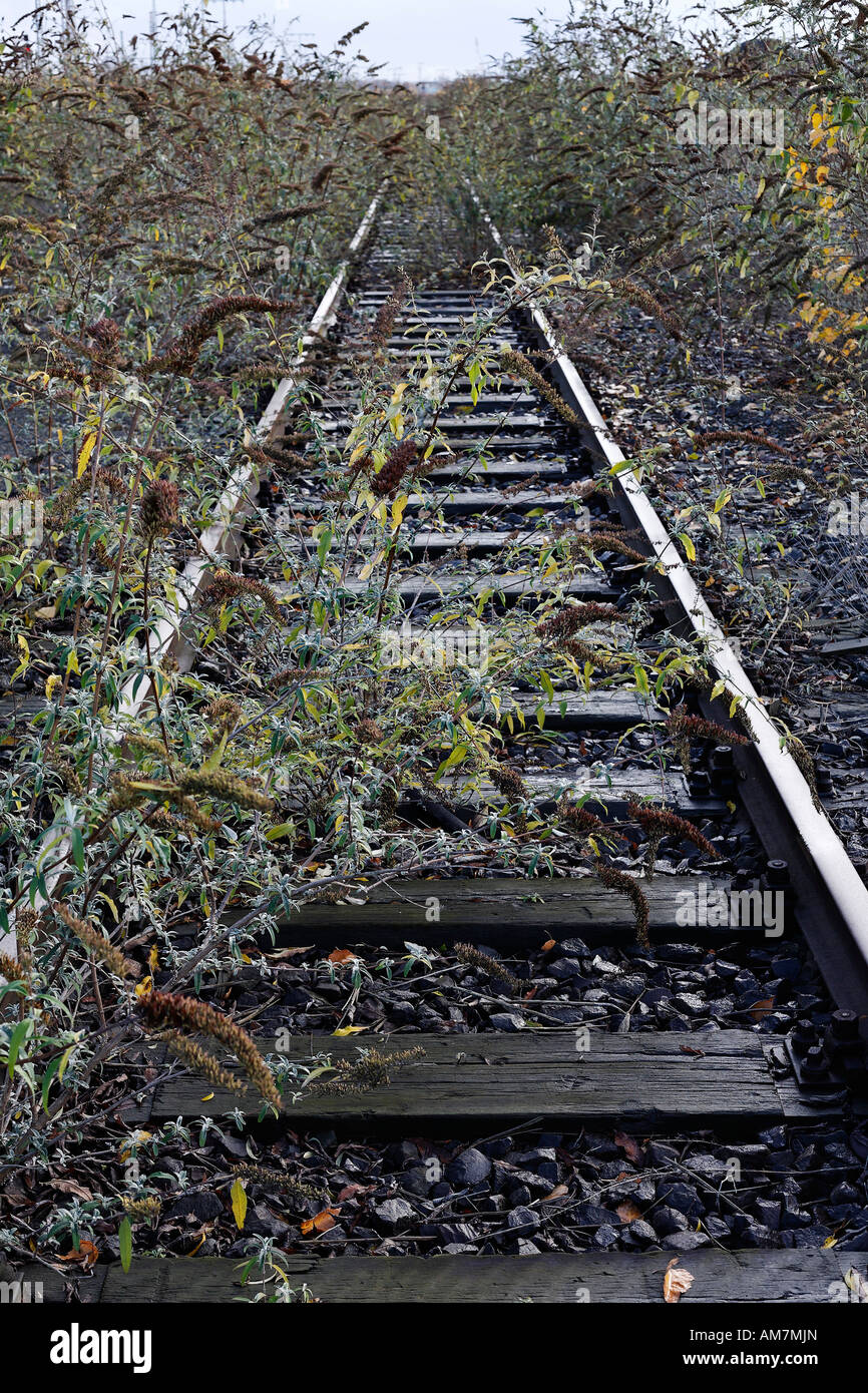Overgrown rails of a disused section, Ruhr district, NRW, Germany Stock Photo