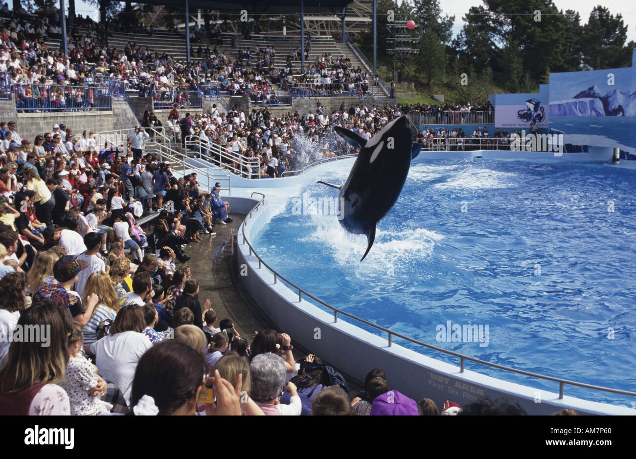Take a look back at how Marine World Africa USA, the huge theme park