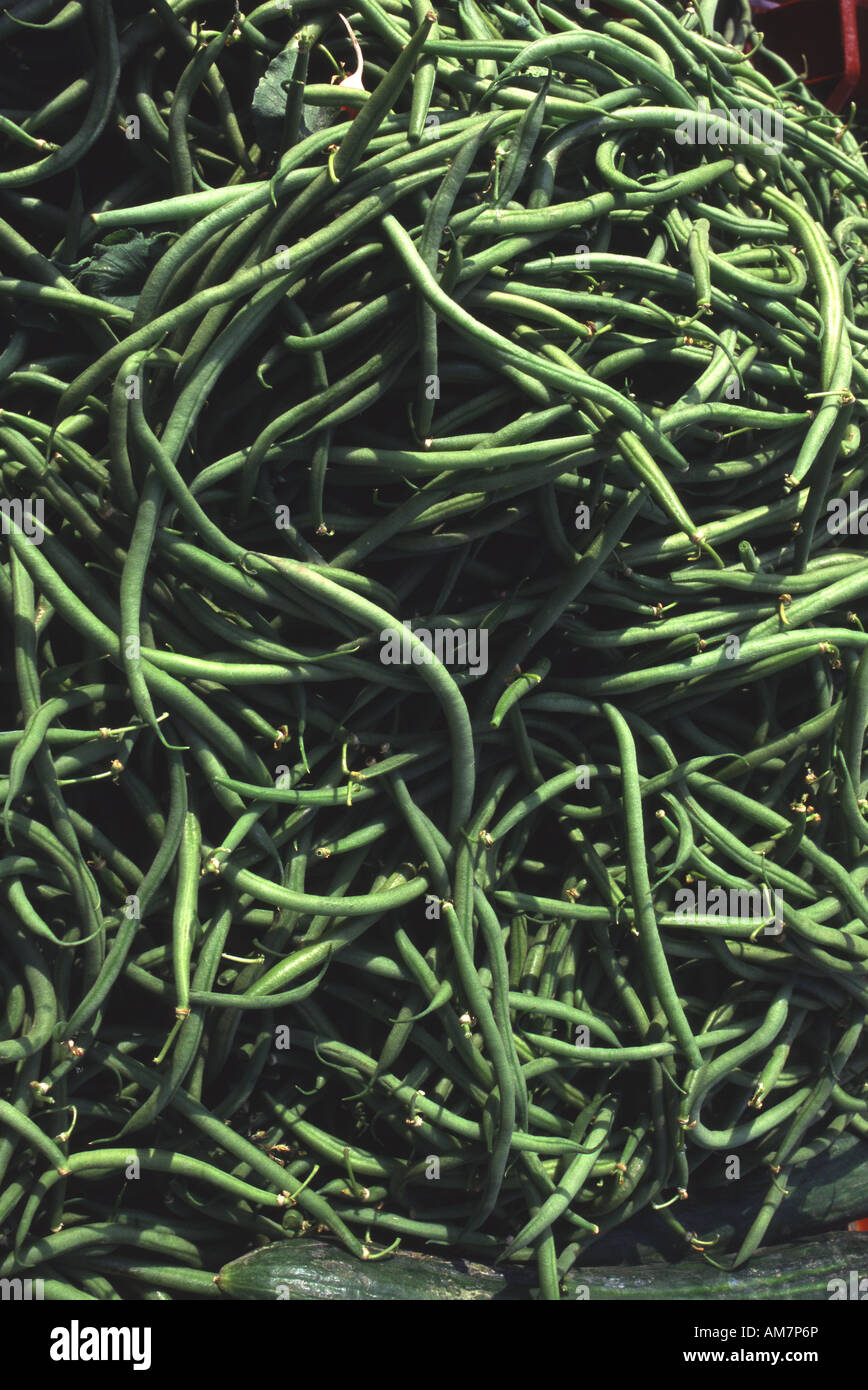 Haricots verts, green beans Stock Photo Alamy