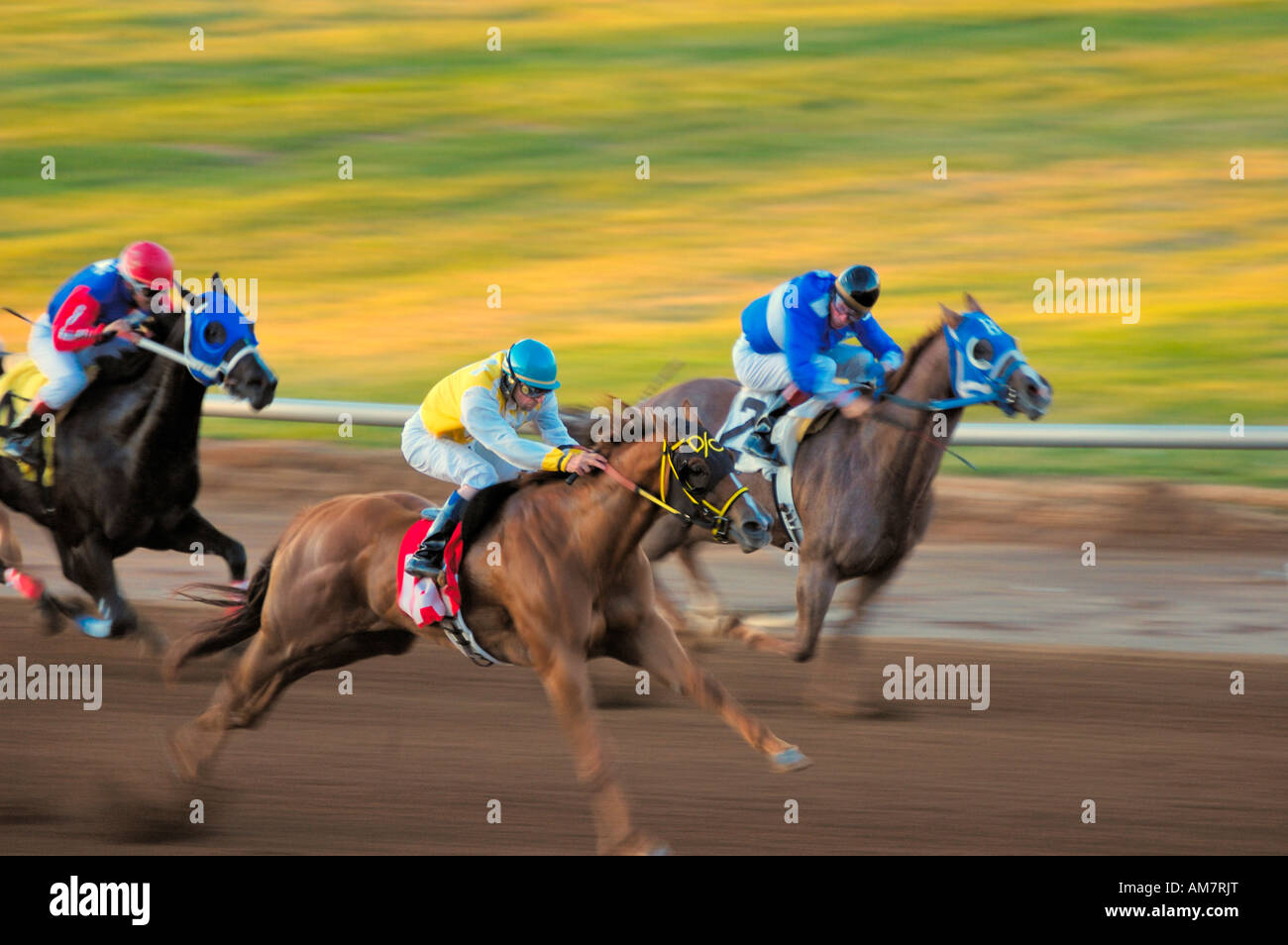 Annual quarter horse races held at the Red Mile track in Lexington Kentucky USA Stock Photo