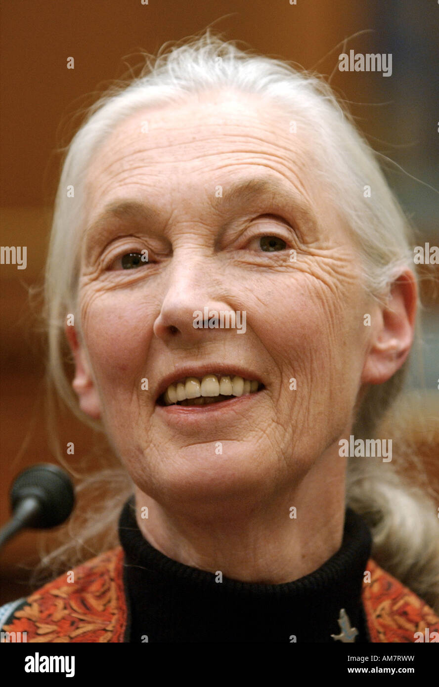 primatologist Dr Jane Goodall attends a bipartisan task force hearing on nonproliferation on Capitol Hill in Washington Stock Photo