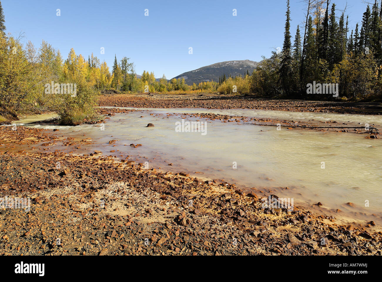 Mineral bearing mud at Mineral Creek, Dempster Highway, Yukon Territory, Canada Stock Photo