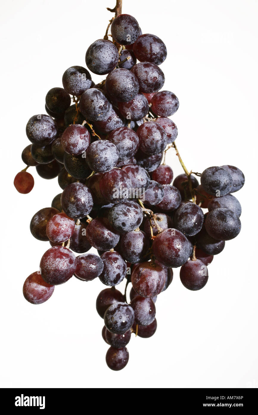 Fresh grapes Stock Photo