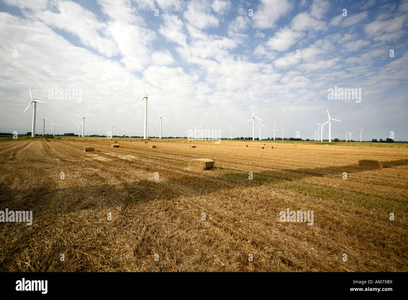 Wind turbines on stubble field Stock Photo