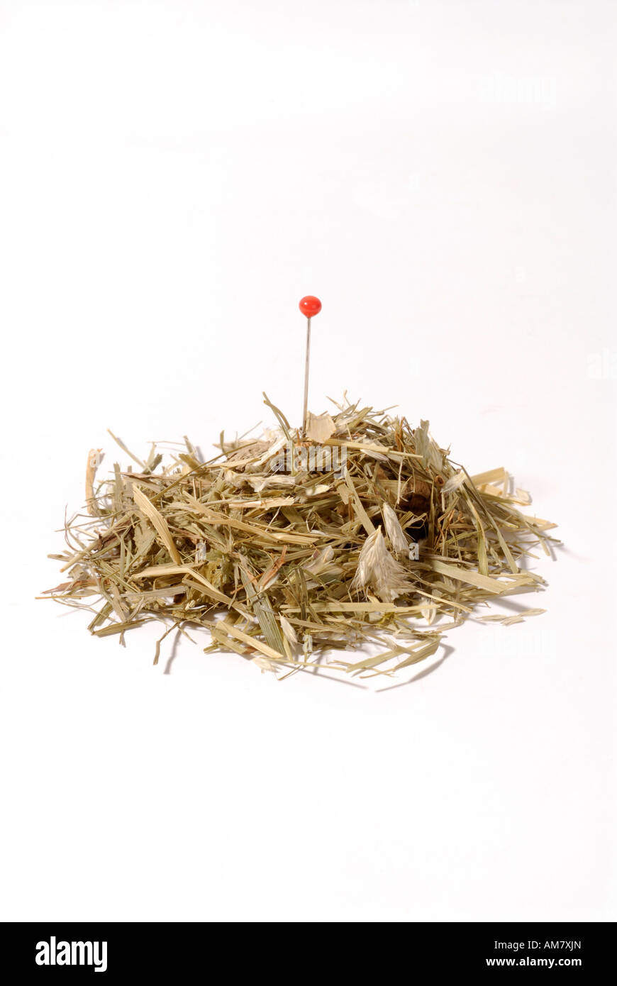 Needle in a haystack Stock Photo
