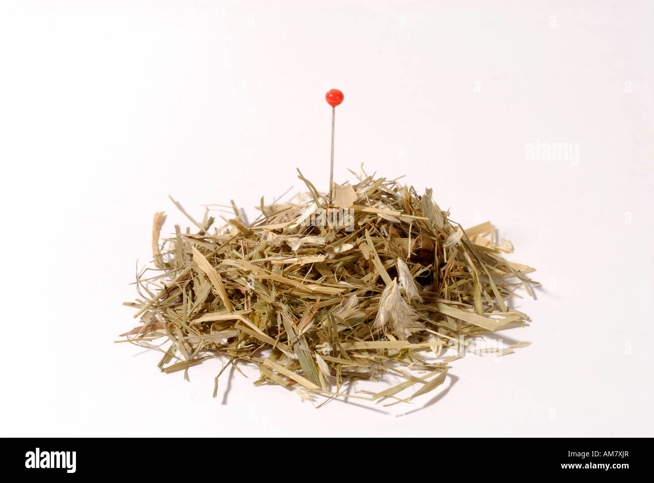 Needle in a haystack Stock Photo