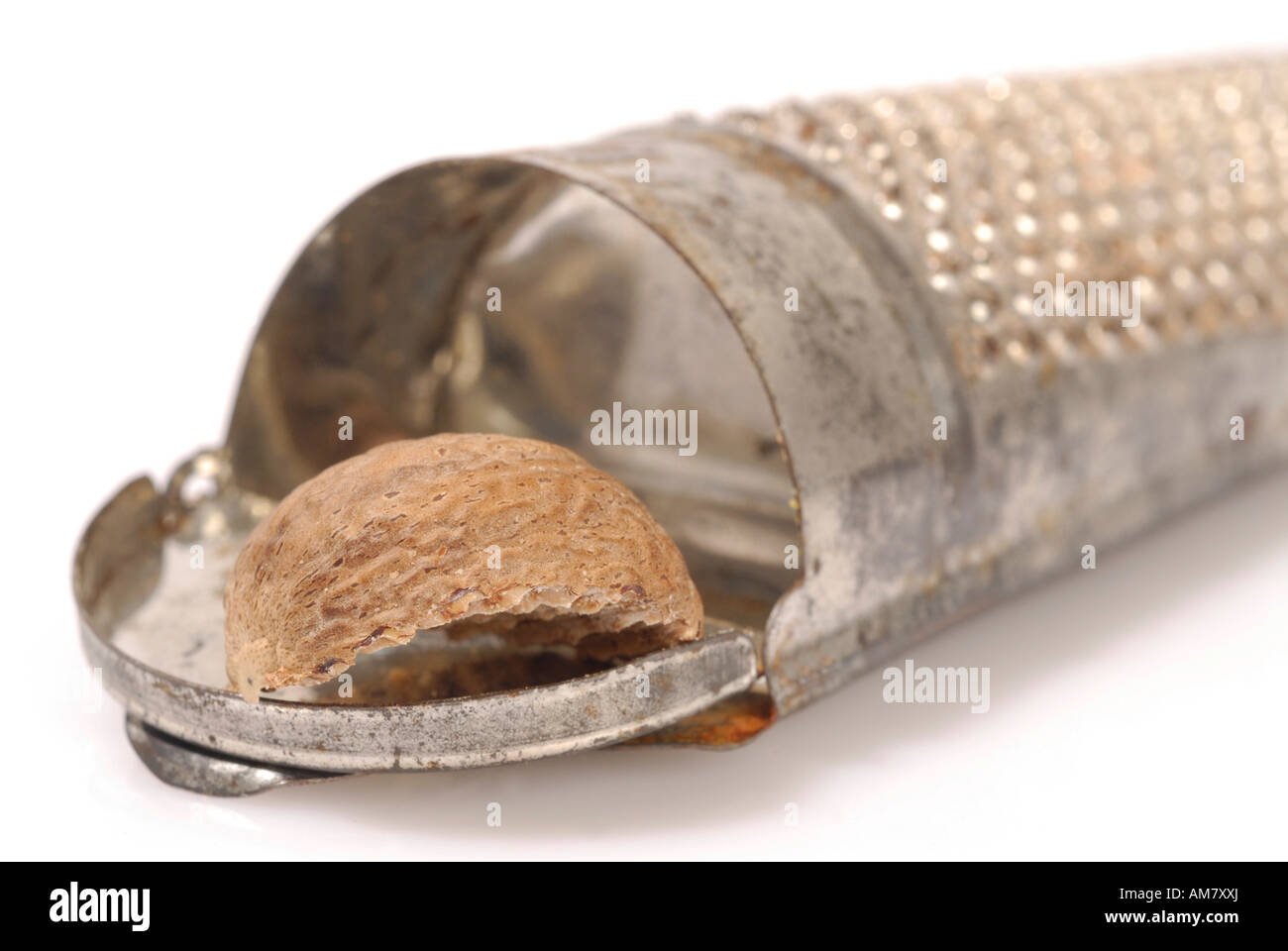 Grater with nutmeg Stock Photo